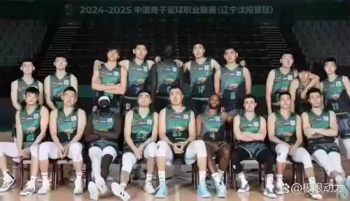 辽宁大韩阵容