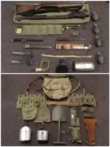 武器出门装备插图