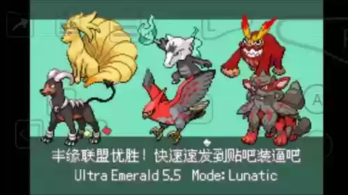 究绿阵容搭配插图