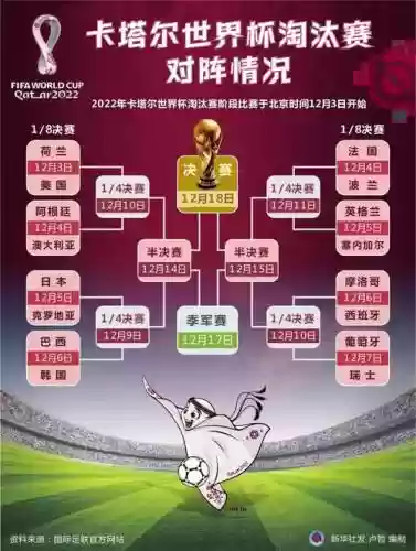 卡塔尔淘汰阵容插图