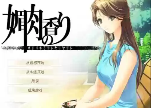 媚肉之香be17攻略插图