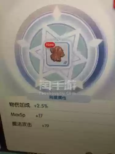 守护永恒的爱破损的装备插图1