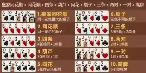 德州最强阵容插图
