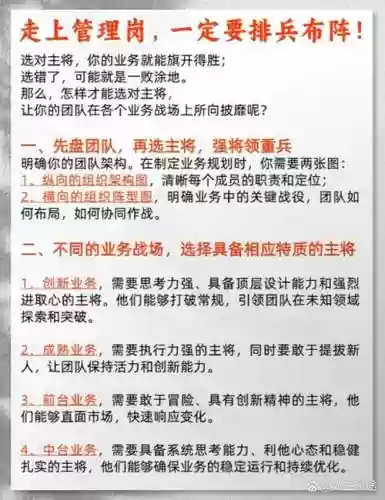 组织战阵容搭配插图1