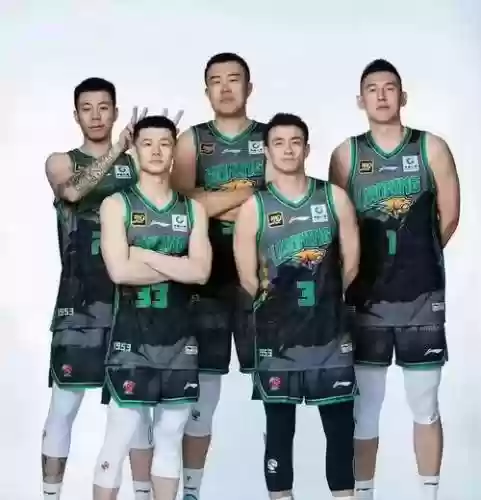 辽宁大韩阵容插图