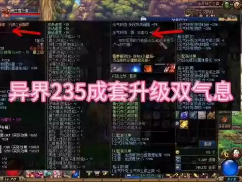 狂虎帝刷图装备选择插图