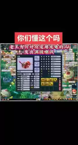 梦幻西游抓龙龟要求插图1