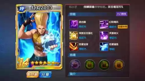 红丸XIII搭配阵容，红丸装备