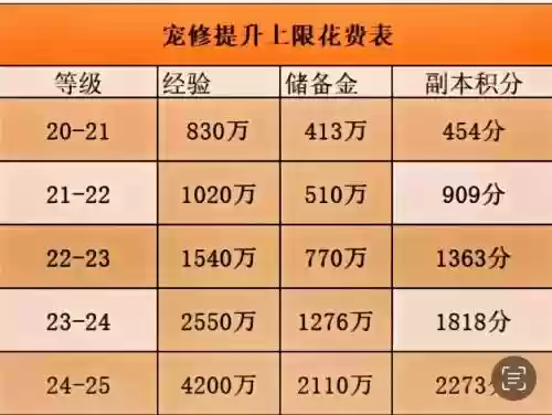 梦幻西游精力多少一点，梦幻西游精力是什么意思插图