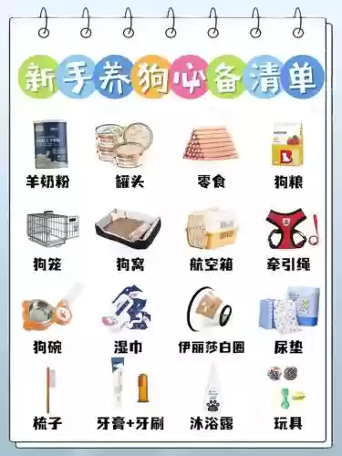 ro宠物装备怎么插图