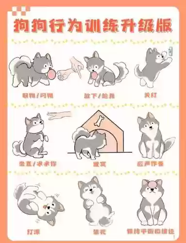 拯救爱犬大冒险攻略