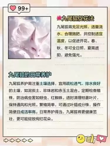 阴阳师35级九尾狐攻略，阴阳师九尾狐哪里多跑跑车插图