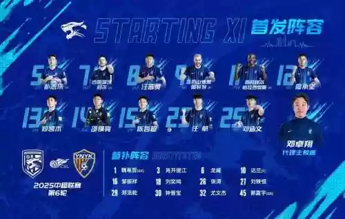武汉战队阵容