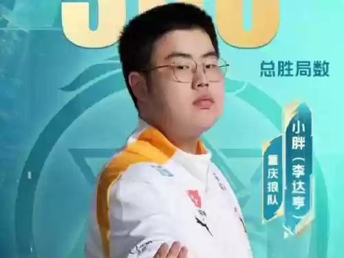 胖子选手阵容搭配，胖子最佳阵容插图1
