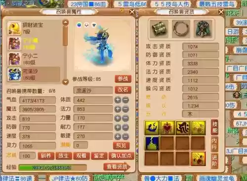 梦幻西游法系宝宝坐骑技能选择，梦幻西游法系宝宝坐骑技能选择什么插图1