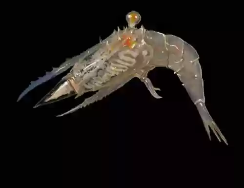 动物武器还是海洋武器，海洋的武器插图1