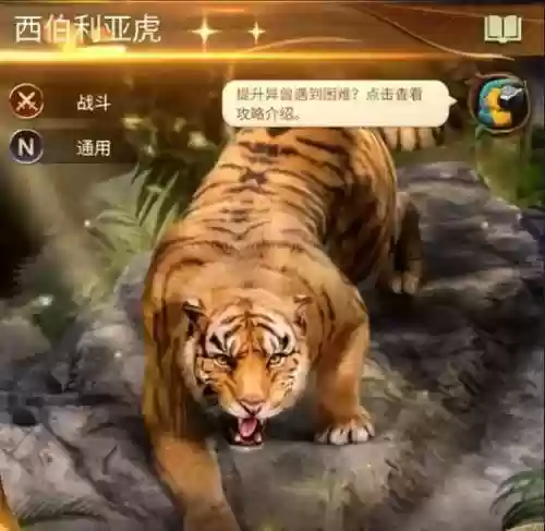 老虎阵容搭配，老虎配什么辅助厉害插图1