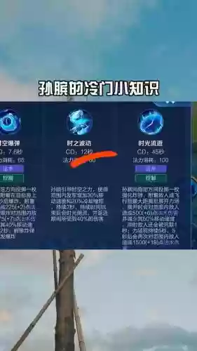 王者荣耀孙斌主学什么技能，孙斌输出