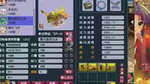 梦幻西游龙龟进阶装饰，梦幻西游进阶龙龟饰品插图