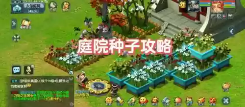 梦幻西游中植物种子怎么种，梦幻西游植物种植攻略插图1