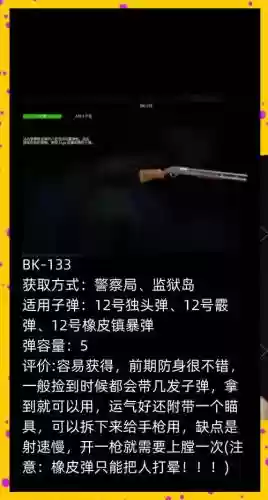 迷你dayz武器配件，迷你dayz武器配件141插图1