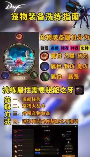 2dnf2018年套宠物装备，dnf2级宠物插图