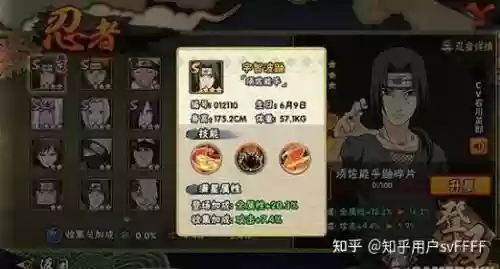 须鼬的搭配阵容，须佐鼬搭配