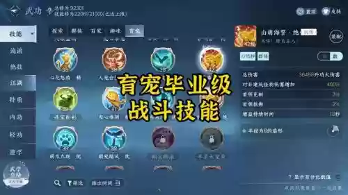 王者荣耀宠统带技能，王者荣耀宠儿