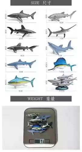 动物武器还是海洋武器，海洋的武器插图