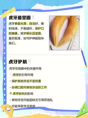 虎牙守护技能，虎牙守护分成插图1