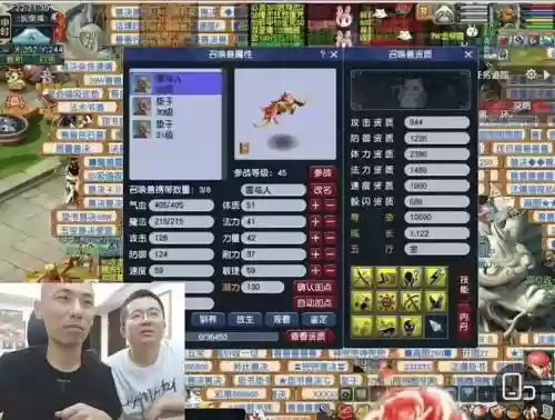 梦幻西游龙拳是烟花吗，梦幻西游龙拳是哪个大区插图1