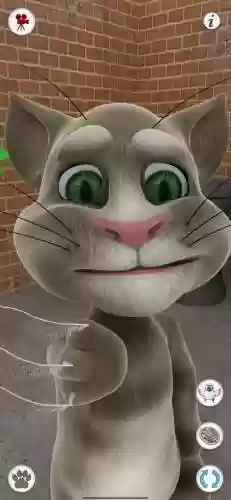 会变长的猫11关攻略，会变猫的电视剧插图1