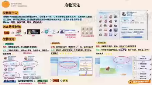仙境传说攻略，仙境传说攻略书插图1