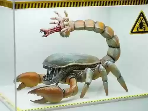 一部蝎子放到手上就可以当武器的电视，蝎子在手上的图片插图
