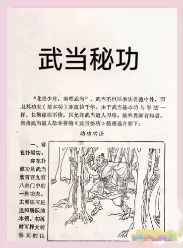 刷武当攻略，武当秘籍选择插图