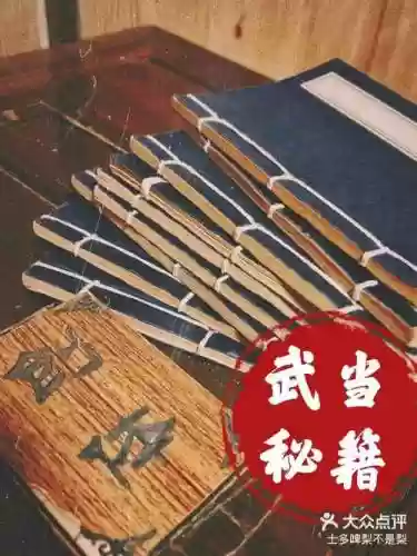刷武当攻略，武当秘籍选择插图1