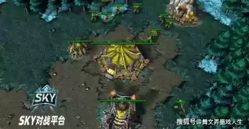 先知和剑圣搭配阵容，先知和剑圣后期哪个厉害