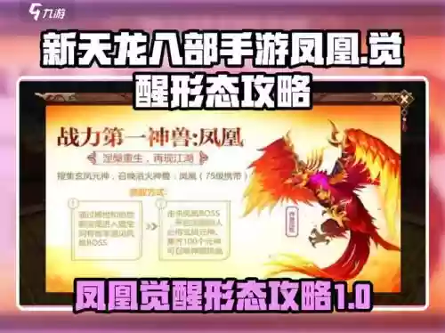 天龙八部手游凤凰攻略，天龙八部手游凤凰打什么技能好插图