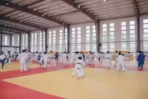 柔道20人擎天攻略，柔道16人对阵表插图