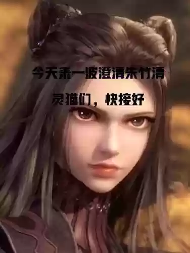 SSS朱竹清阵容搭配，朱竹清加什么属性插图1