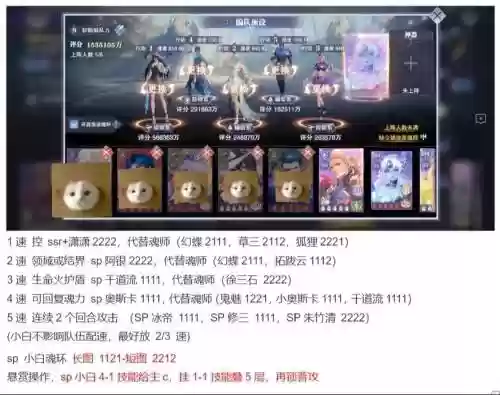 小白搭配什么阵容好，小白堆什么属性插图