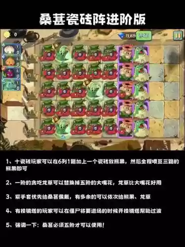 僵尸对决阵容搭配，僵尸对战游戏插图