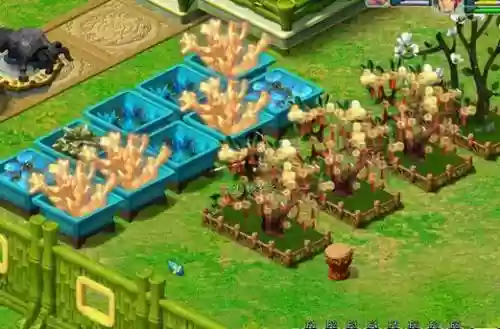 梦幻西游白玉花圃多钱，梦幻西游百花园插图